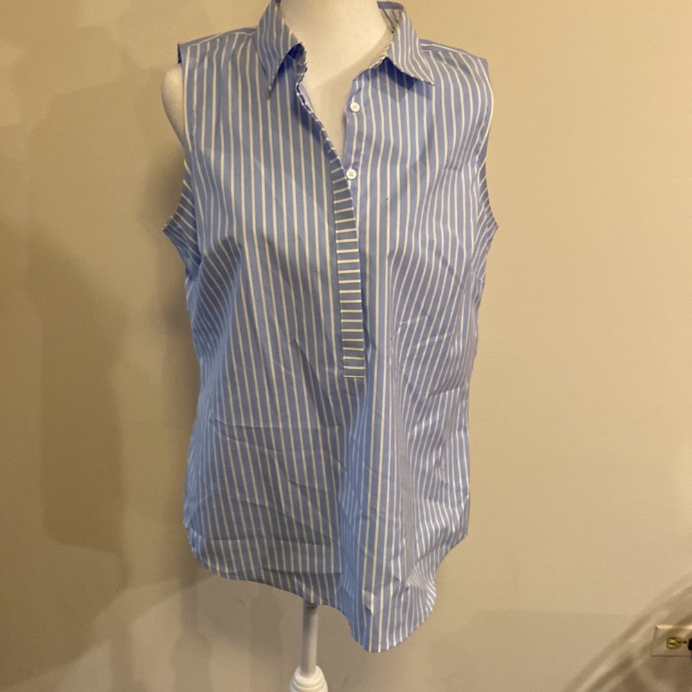 Talbots Blue and White Striped Sleeveless Button-Front Blouse